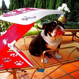 Dog Shade Travel Canopy